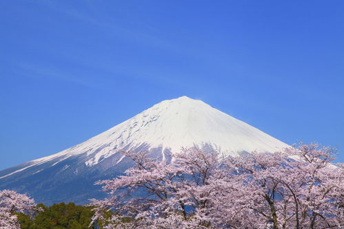 为什么梦到日本富士山,梦见日本富士山的预兆