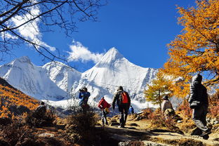 为什么不能梦到雪山和雪景,梦见雪山什么意思