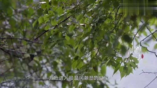 为什么老是梦到青梅竹马,晚上经常无意识的梦到青梅竹马