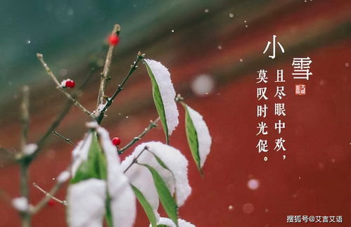 做梦到下小雪什么意思,梦见下小雪是什么意思