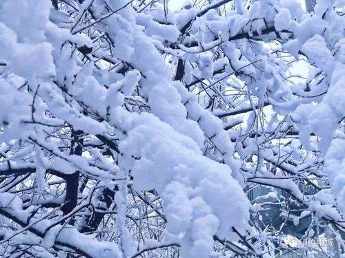 下雪天梦到下雨什么意思,梦见下雨下雪是什么意思？