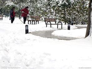 中午梦到扫雪什么意思呀,梦见下雪扫雪是什么意思？