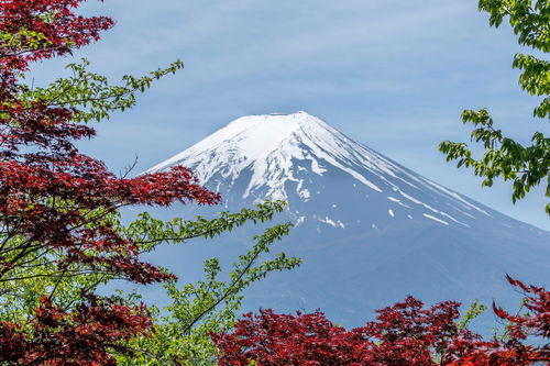 为什么梦到日本富士山,梦见日本富士山的预兆