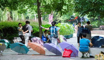 为什么老是梦到跑马场,梦见一个马场好多马的预兆