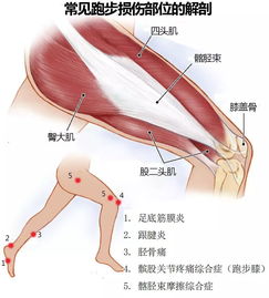 为什么梦到腿受伤出血了,梦见腿受伤出血的预兆