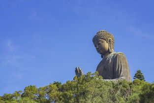 修行为什么经常梦到佛祖,我信佛，梦见佛祖，预示啥