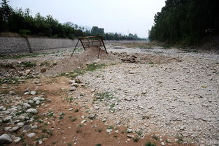 为什么经常梦到河水和海水,梦见江水河水海水的预兆