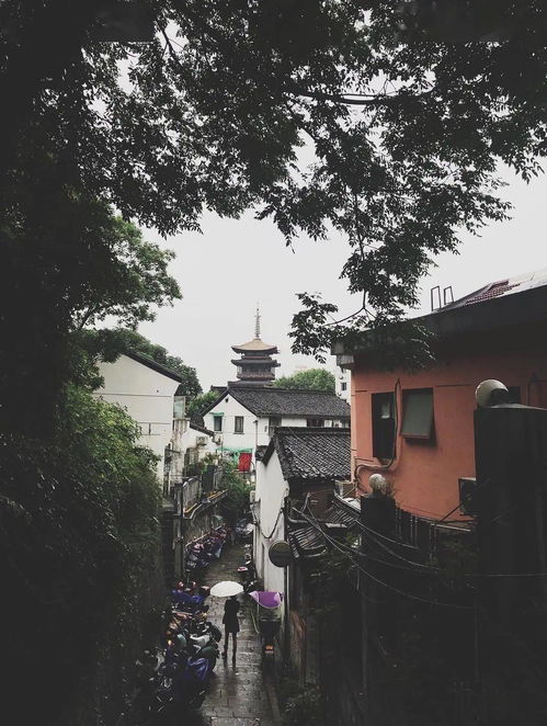 为什么老梦到杭州下雨呢,做梦下雨预示着什么