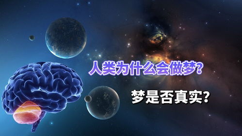 为什么做梦会梦到解题步骤,为什么梦中能自己出数学题并解答？