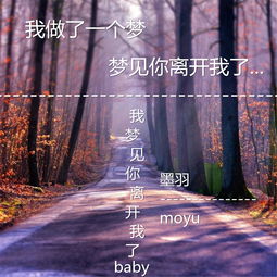 不会再梦到你是什么歌,再见爱情的夏婉安演唱的歌曲