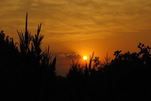 为什么总梦到夕阳很美呢,梦见夕阳美景的预兆