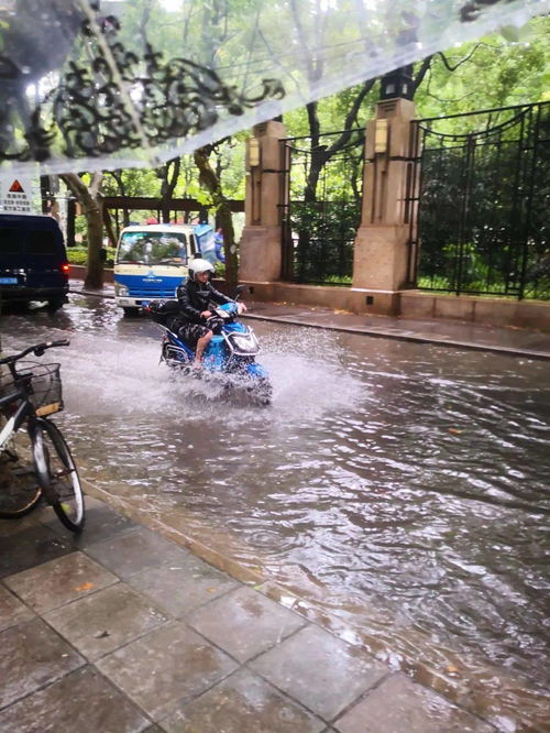 为什么会梦到大风暴雨,梦见刮风下大雨是什么预兆