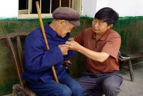 七十岁老人梦到什么生肖,老人七十仍沾酒四壶四颂花门口指十二生肖什么动物