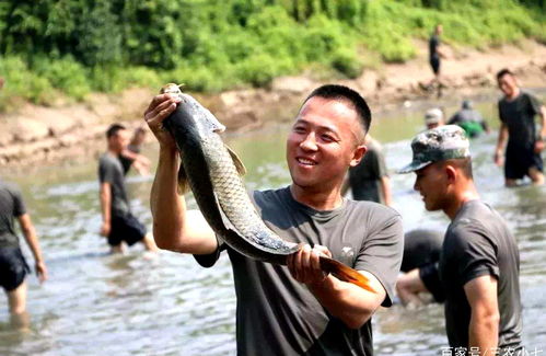 为什么老是梦到在抓鱼虾,梦见水里抓鱼和虾的预兆