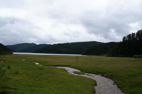 为什么总梦到青草的山,梦见满山遍野青草的预兆