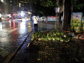 为什么会梦到大风暴雨,梦见刮风下大雨是什么预兆