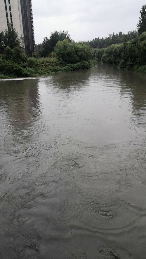 为什么会梦到大雨大河呢,梦见下大雨有河水的预兆