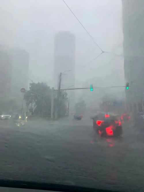 中午梦到淋雨什么预兆呢,梦到淋雨预示着什么意思