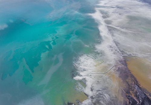 为什么会梦到大海的生物,梦见海洋生物是什么意思？谦虚得财利