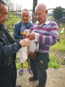 为什么经常梦到村里吃酒席,梦到吃酒席是什么预兆