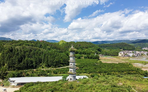 为什么总梦到青草的山,梦见满山遍野青草的预兆