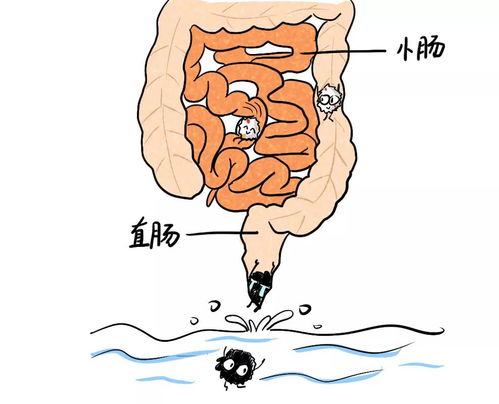 做梦到拉大便什么预兆,梦见拉屎是什么预兆