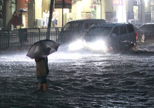 女人梦到大暴雨什么意思,女人梦见下大雨是什么意思