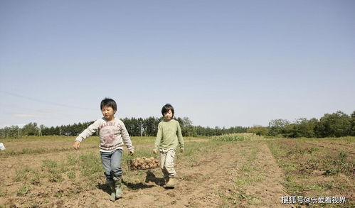 孕妇梦到种田是什么意思,孕妇梦见种田是什么意思