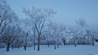 孕妇老梦到下雪什么意思,孕妇梦见下雪是什么意思？