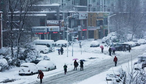 大年三十梦到大雪预示什么,大年三十下雪预示什么？