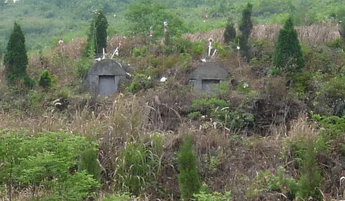 孕妇梦到坟地搬迁什么意思,孕妇梦见挪坟是什么意思