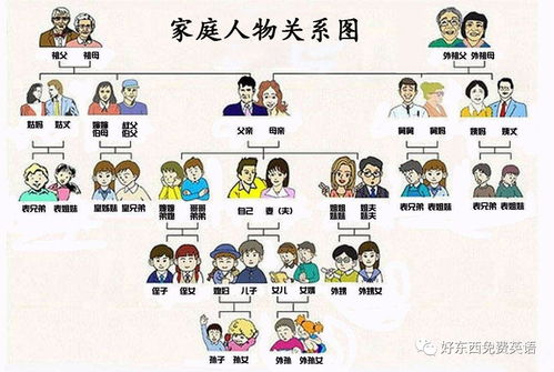 做梦梦到暴力情节表示什么,梦到混乱暴力的局面