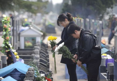 女人梦到扫墓是什么意思,女人梦见去扫墓有预兆