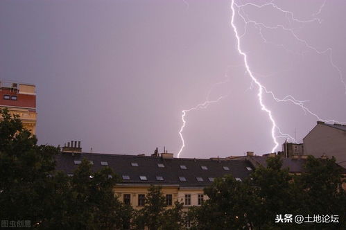 备孕梦到打雷什么预兆,梦见下雨打雷的预兆