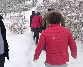 女人梦到白白大雪什么预兆,女人梦见下雪什么预兆