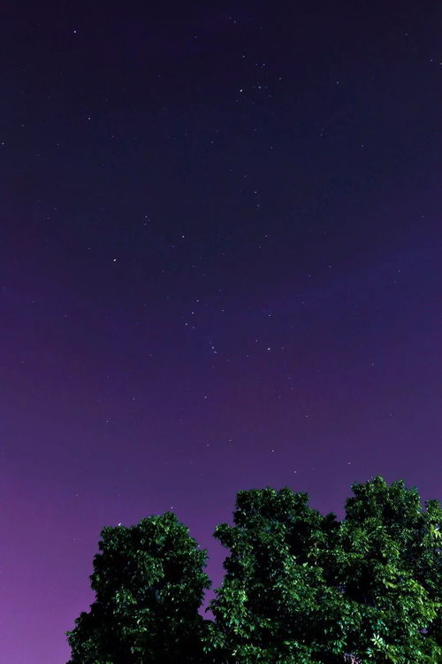 孕妇梦到黑夜是什么意思,孕妇梦见黑夜是什么意思