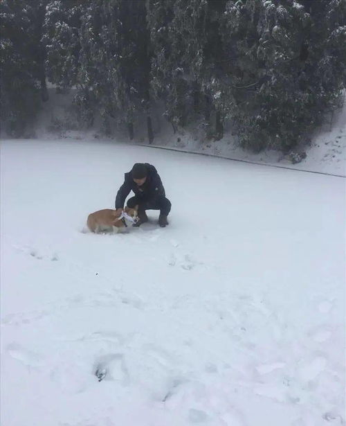 儿童梦到下雪是什么征兆,9岁女儿梦到家里下大雪什么预兆？