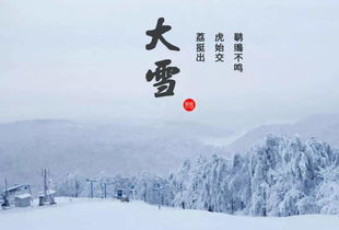 女生梦到大雪怀孕什么意思,女人梦到雪是什么征兆 预兆