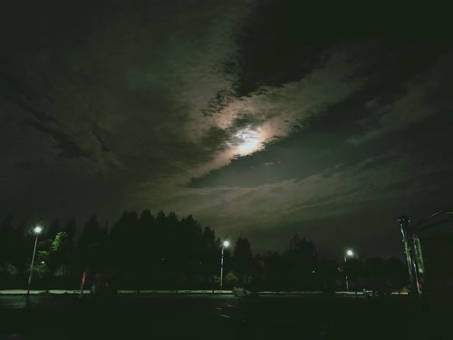 夜里梦到下大雨什么意思,做梦下大雨是什么兆头