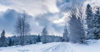 在梦中梦到雪什么意思,梦见雪是什么兆头