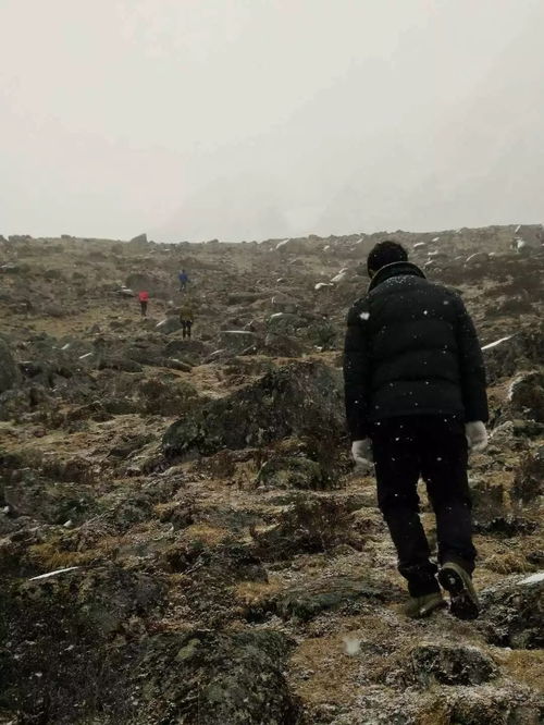 女人梦到爬山有什么征兆,女人梦见爬山什么意思