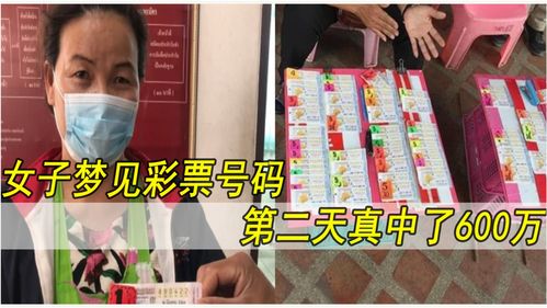 女人梦到分赃现金什么意思,女人梦见捡到好多钱现金