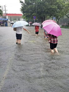 女人梦到大暴雨什么意思,女人梦见下大雨是什么意思