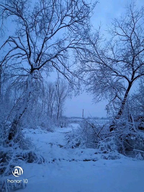 孕妇梦到我下雪什么意思,孕妇梦见下雪是什么意思？