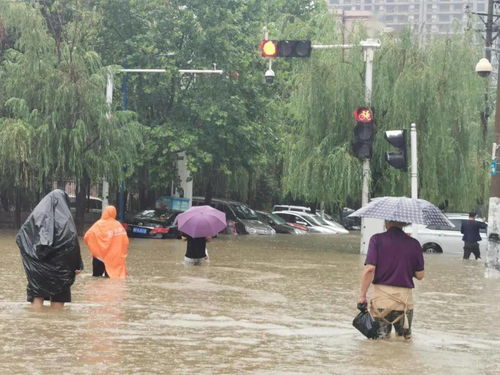 女人梦到大暴雨什么预兆,女人梦见下大雨是什么意思