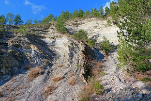 孕妇梦到山崩塌了是什么,孕妇梦见山崩地裂发大水