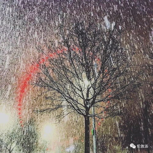 夜里梦到下雪是什么意思,梦见下雪是什么征兆周公解梦