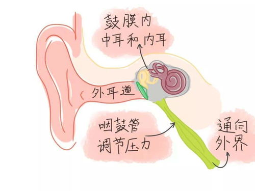 做梦梦到耳朵流脓是什么,梦见我的耳朵流脓的预兆