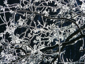 做梦梦到雪什么意思,做梦梦到雪的意思做梦梦到雪是什么意思