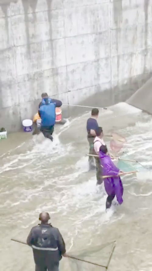 女人梦到河水涨潮什么预兆,女人梦到河水涨预示着什么